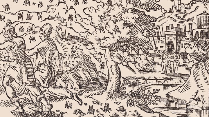 Locusts zu 09 getty