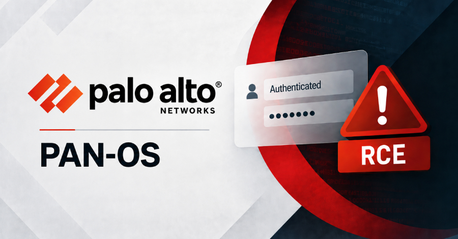 Palo